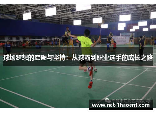 球场梦想的磨砺与坚持:从球霸到职业选手的成长之路 球场梦想的磨砺与坚持:从球霸到职业选手的成长之路