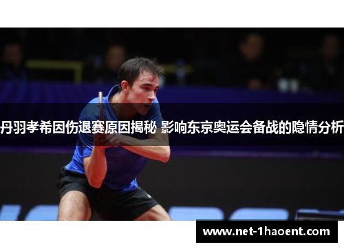 丹羽孝希因伤退赛原因揭秘 影响东京奥运会备战的隐情分析