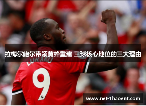 拉梅尔鲍尔带领黄蜂重建 三球核心地位的三大理由 拉梅尔鲍尔带领黄蜂重建 三球核心地位的三大理由