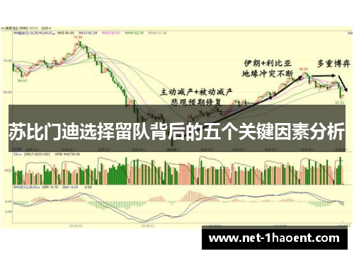 苏比门迪选择留队背后的五个关键因素分析 苏比门迪选择留队背后的五个关键因素分析