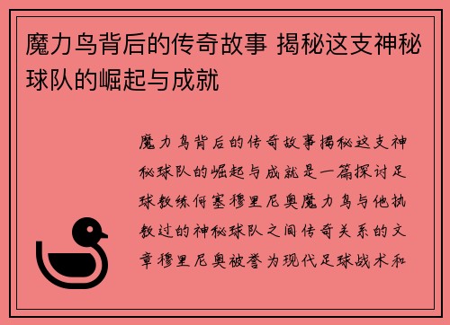 魔力鸟背后的传奇故事 揭秘这支神秘球队的崛起与成就 魔力鸟背后的传奇故事 揭秘这支神秘球队的崛起与成就