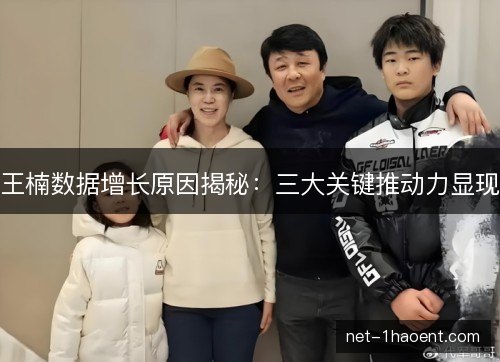 王楠数据增长原因揭秘：三大关键推动力显现